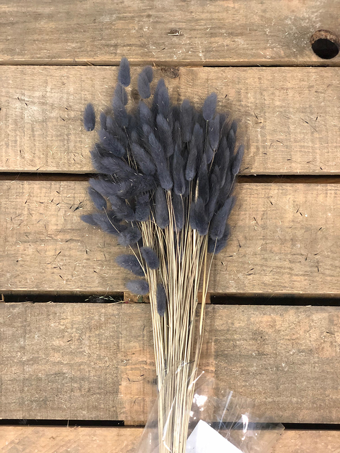 LAGURUS 100GR. ANTRACITE