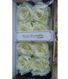 ROSE HEAD BOX 8PZ. WHITE