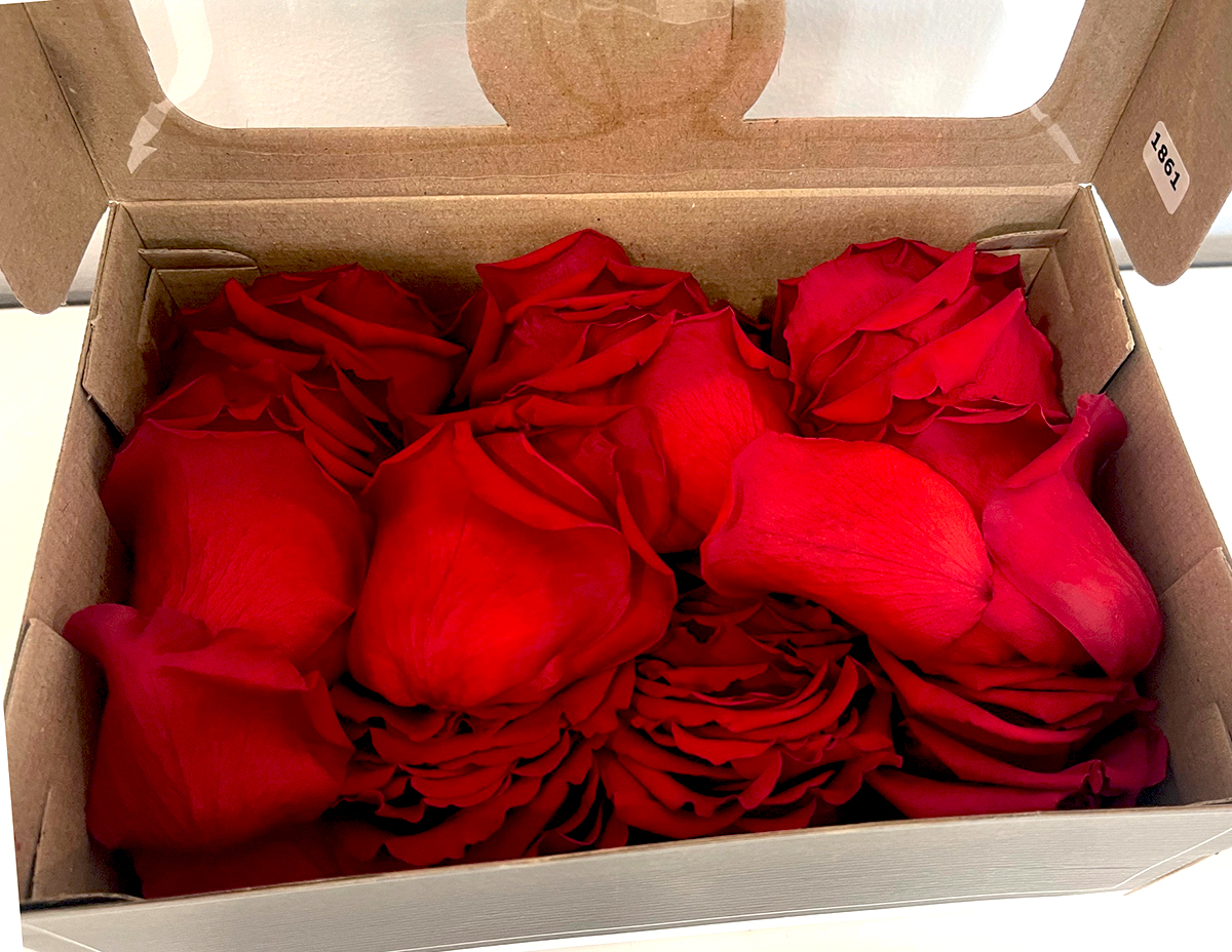 PETALI DI ROSA STABILIZZATI 380PZ. RED-02 ---NETTO------