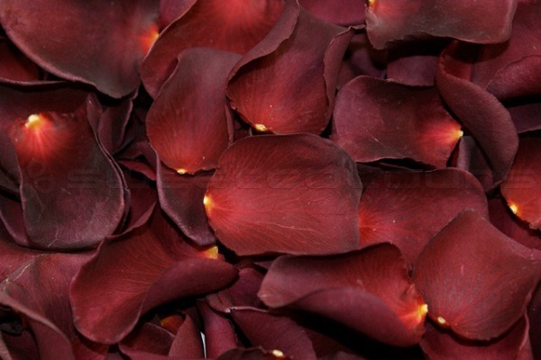 PETALI DI ROSA STABILIZZATI 380PZ. PIN-02 ---NETTO------