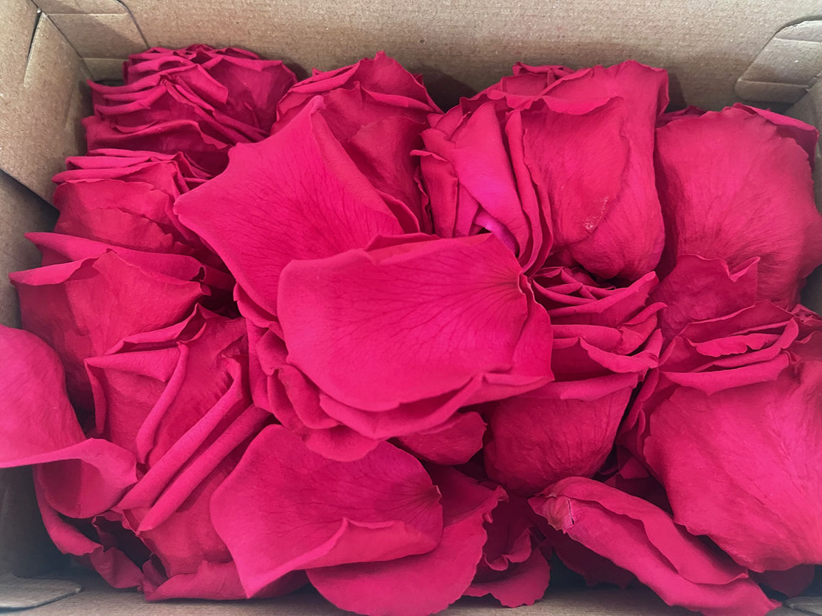 PETALI DI ROSA STABILIZZATI 380PZ. PIN-03 ---NETTO------