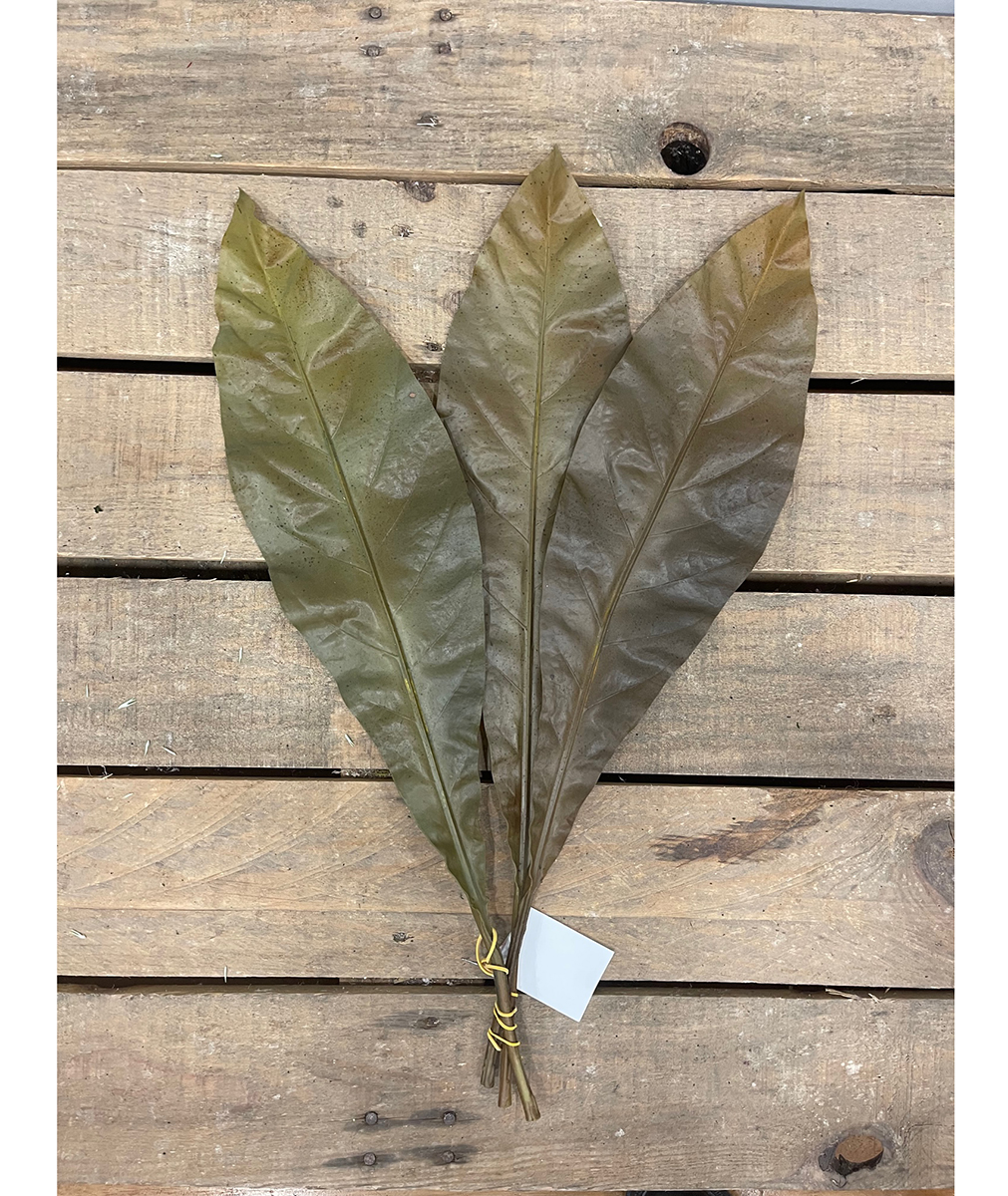 FOGLIA ORCHID AUTUNNO YELLOW