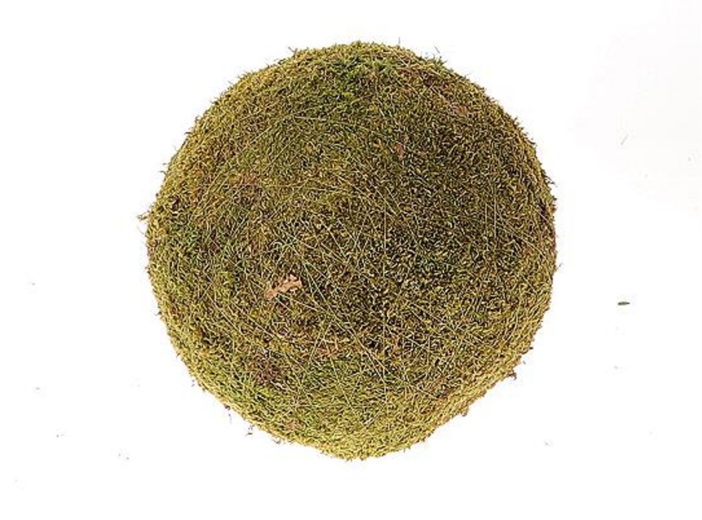 SFERA MUSCHIO D30CM. VERDE