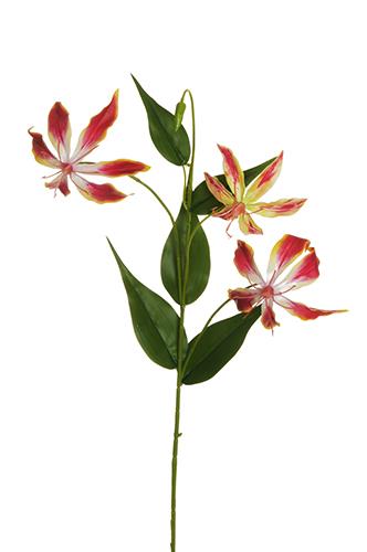 GLORIOSA SPRAY R/TOUCH 78CM. FUXIA