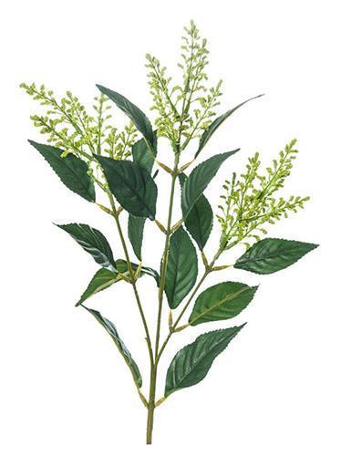 ASTILBE RAMO 70CM. 3PEZZI VERDE