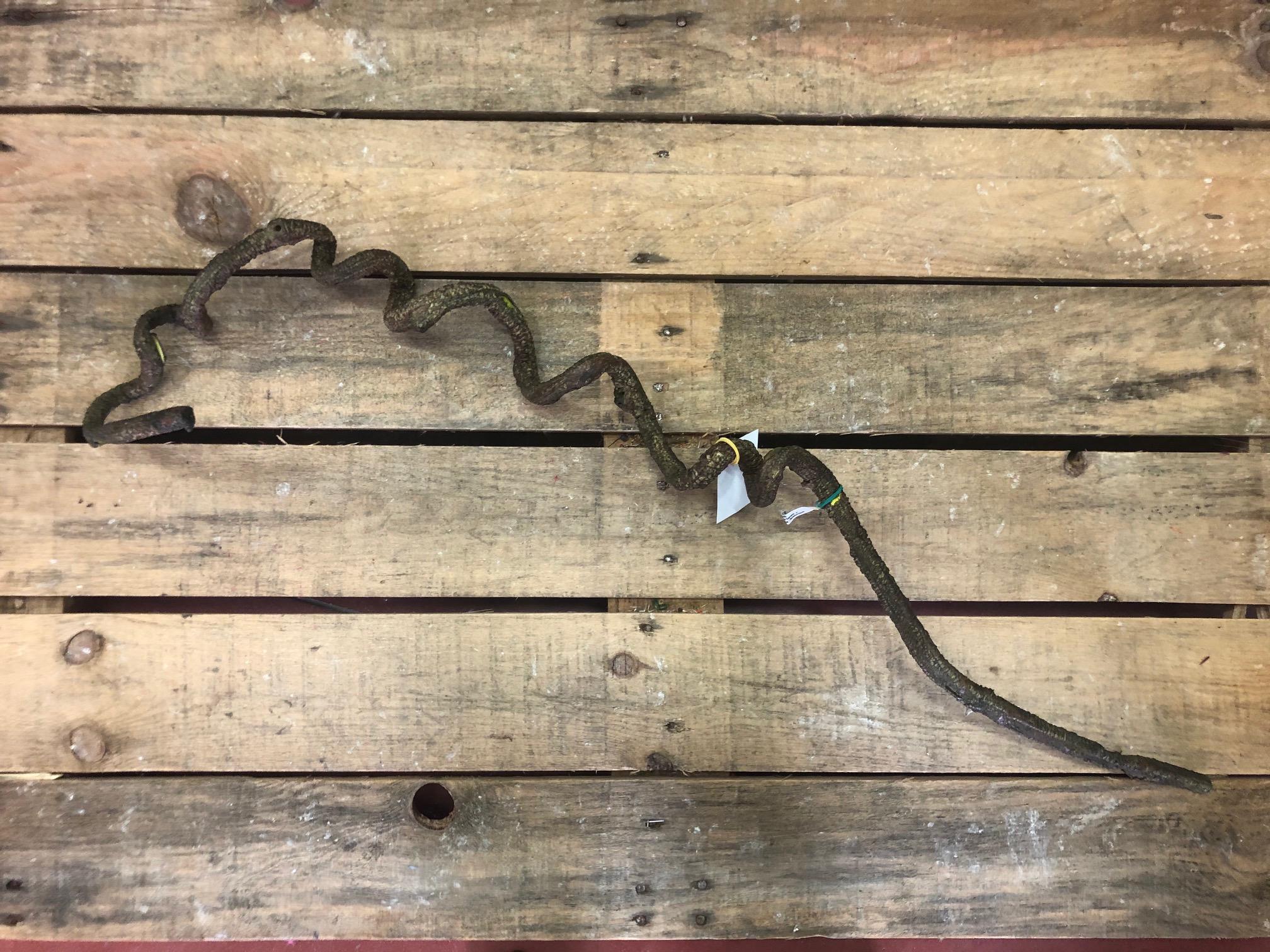 WILLOW GARLAND 4GREEN/F0248