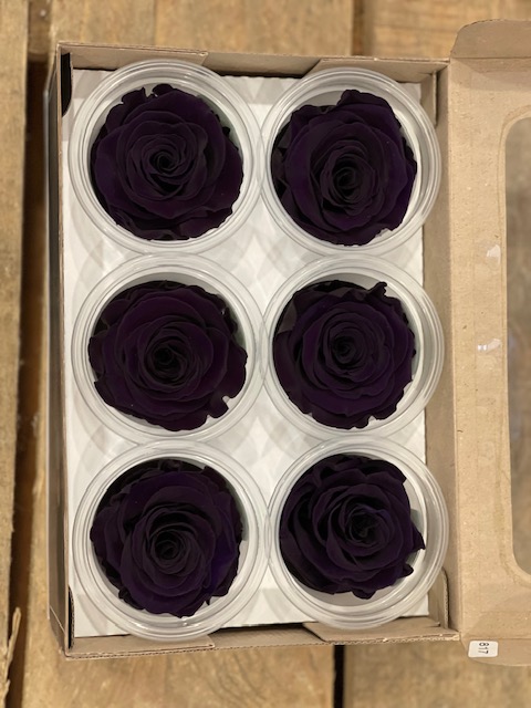 ROSE STABILIZZ.6PZ. L BLU NOTTE ---NETTO-------