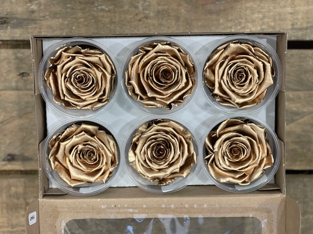 ROSE STABILIZZ.6PZ. LL GOLD MET. ---NETTO-------