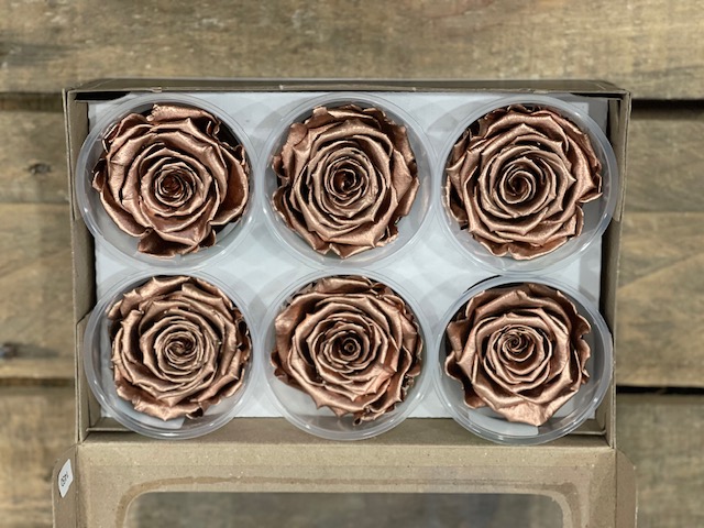ROSE STABILIZZ.6PZ. L COPPER MET. ---NETTO-------