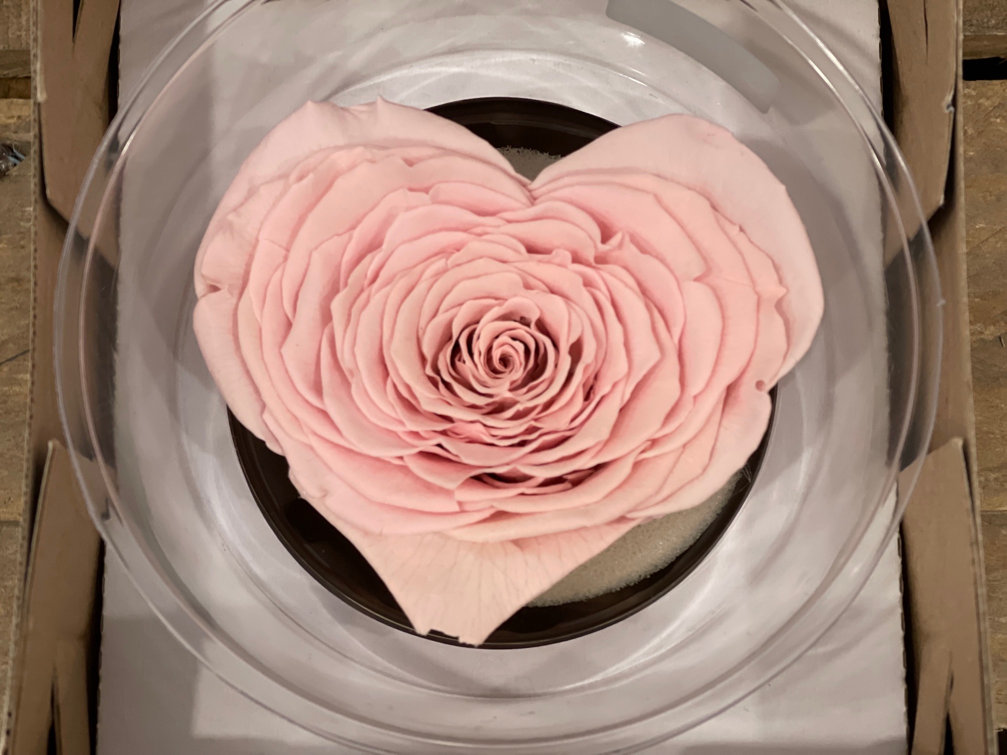 ROSA STABIL. CUORE XXL PIN-04 ---NETTO-------