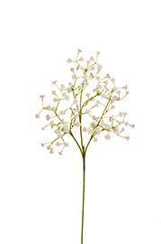 GYPSOPHILA SPRAY 6PZ. CON 108F.60CM.WHITE