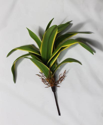 YUCCA PLANT 60CM. LT GREEN YELLOW