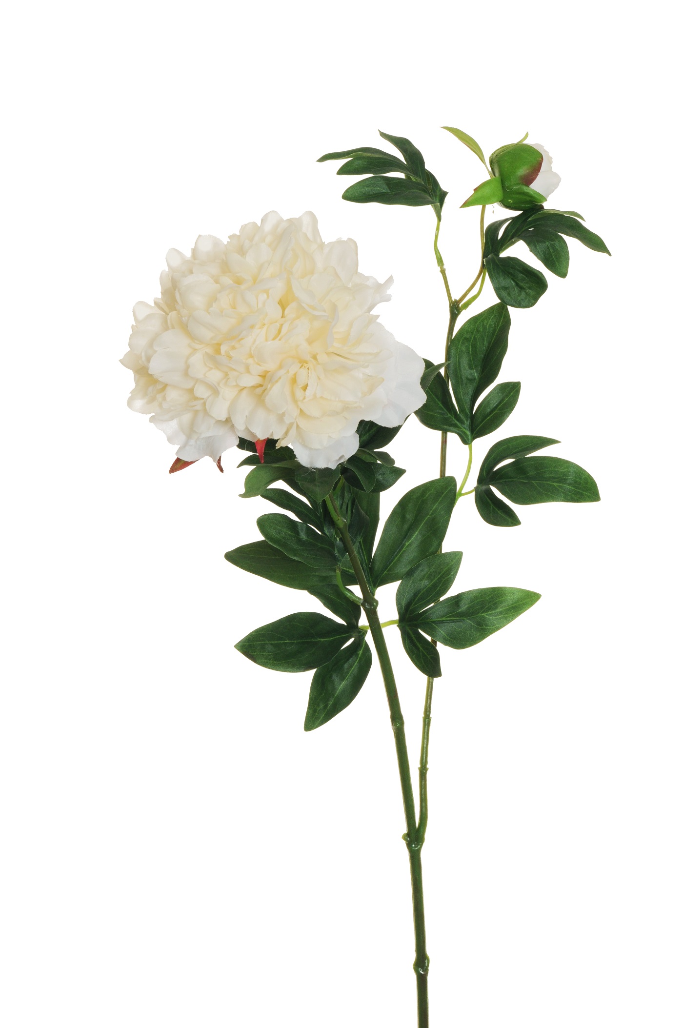 PEONY SPRAY 1FIORE 1BOCC. 69CM. 2PZ. CREAM