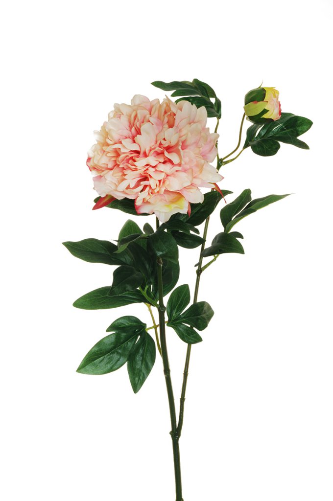 PEONY SPRAY 1FIORE 1BOCC. 69CM. 2PZ. SALM.