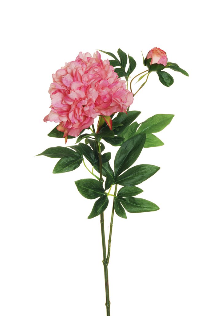 PEONY SPRAY 1FIORE 1BOCC. 69CM. 2PZ. PINK