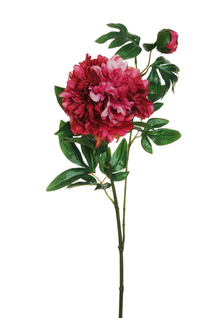 PEONY SPRAY 1FIORE 1BOCC. 69CM. 2PZ. FUCSIA