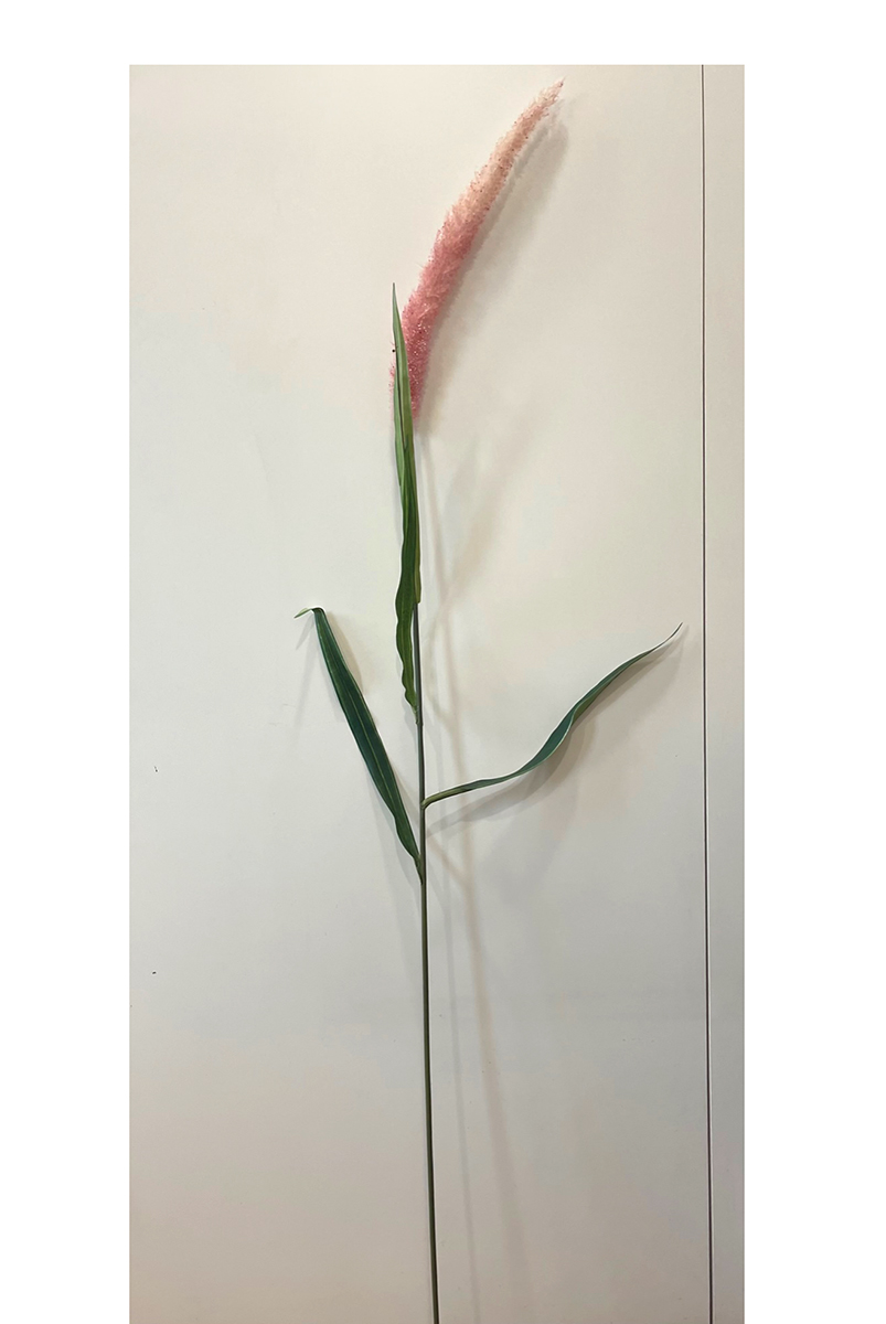 GIUNCO 175CM. PINK