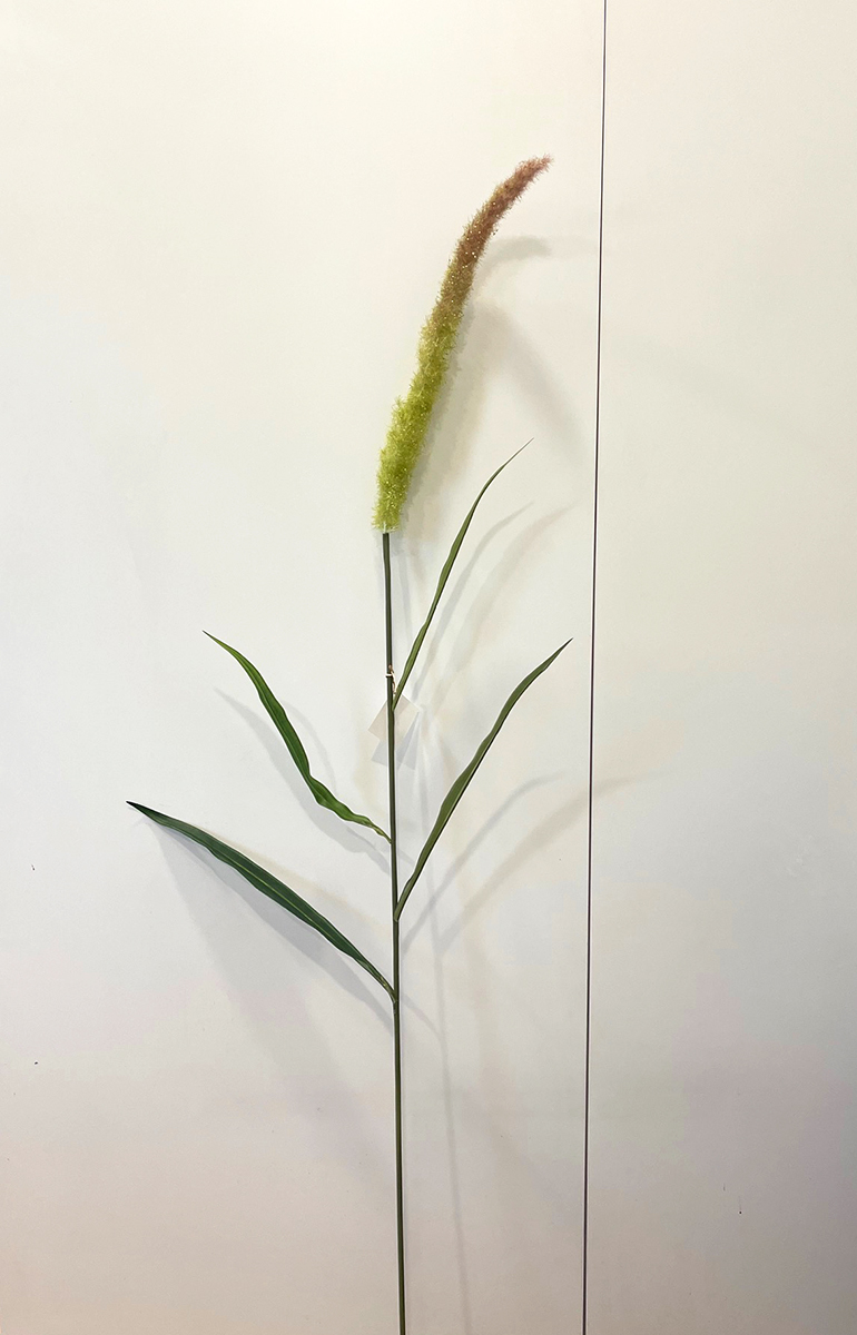 GIUNCO 175CM. GREEN