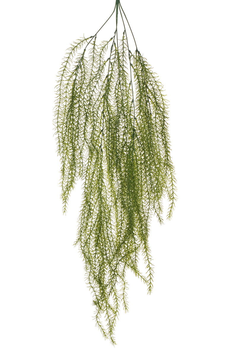 ROSEMARY HANG.BUSH X5 94CM. VERDE