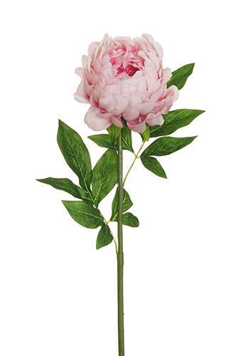 PEONIA BIG OPEN 74CM. MAUVE