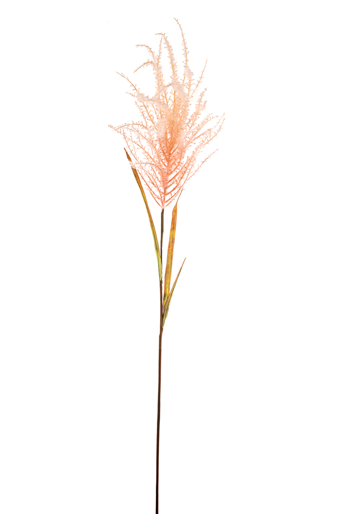 CORTADERIA H130CM. ROSA