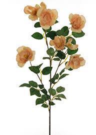 WILD GARD.ROSE SPRAY 3PZ.80CM.LT BEIGE