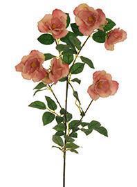 WILD GARD.ROSE SPRAY 3PZ.80CM.DK MAUVE