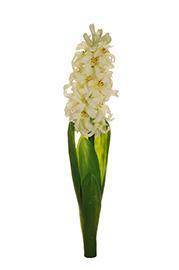 HYACINTH W/6LVS 35CM. CREAM