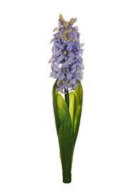 HYACINTH W/6LVS 35CM. VIOLET
