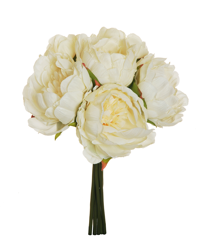 PEONY BUNDLE X6 29CM. CREMA