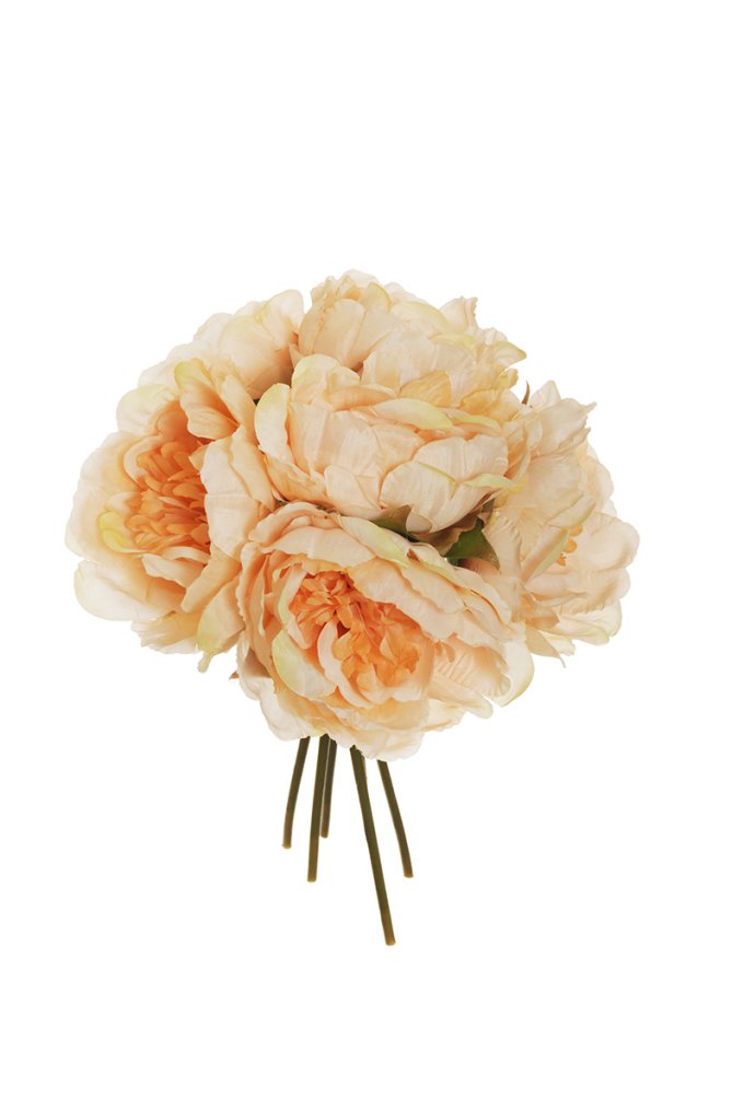 PEONY BUNDLE X6 29CM. LT ECRU