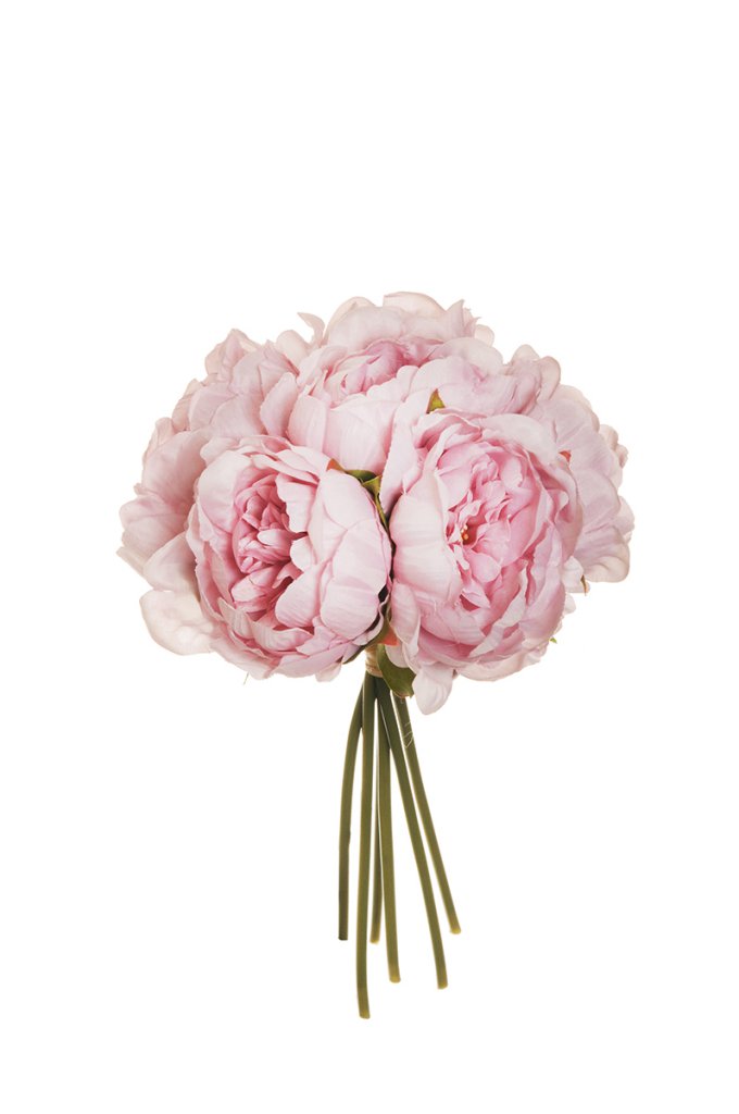 PEONY BUNDLE X6 29CM. LILAC