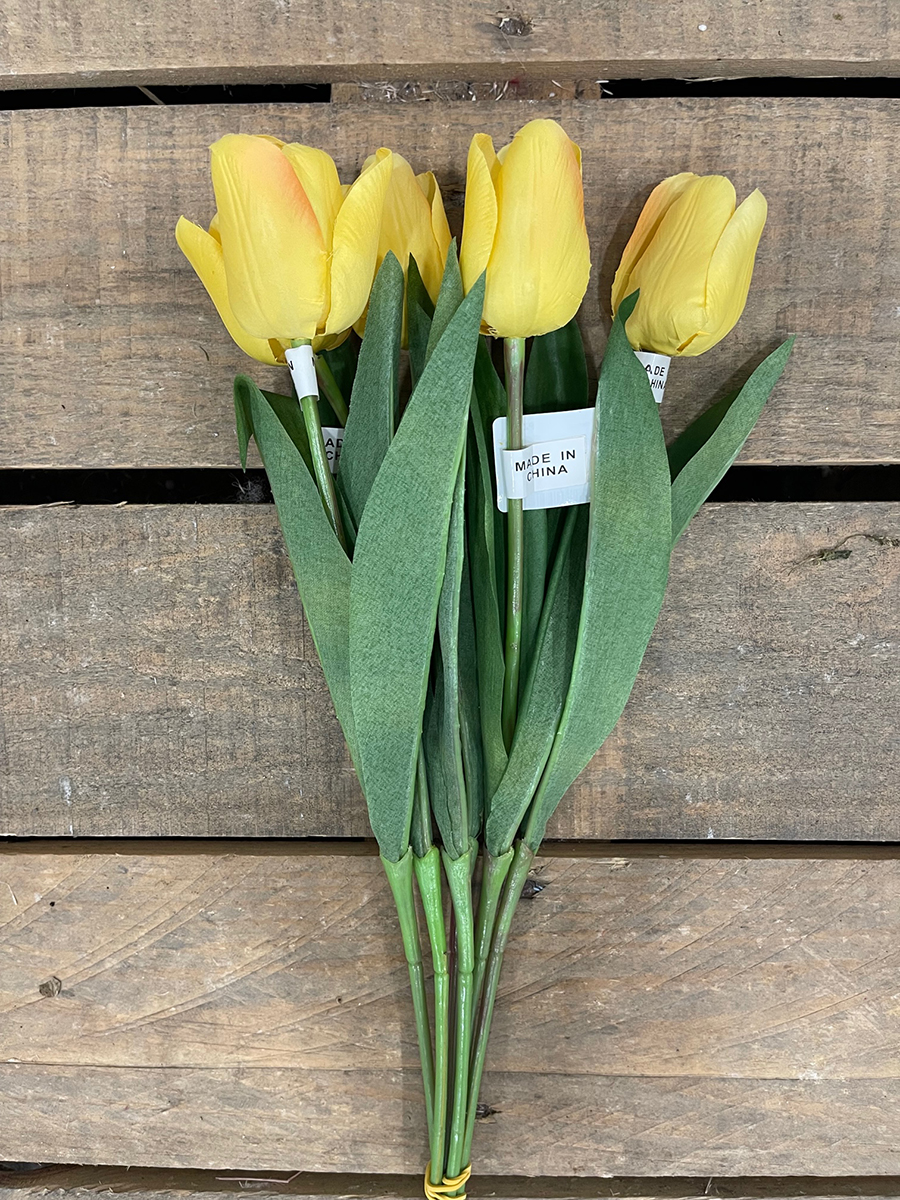 SINGLE SMALL TULIP YELLOW