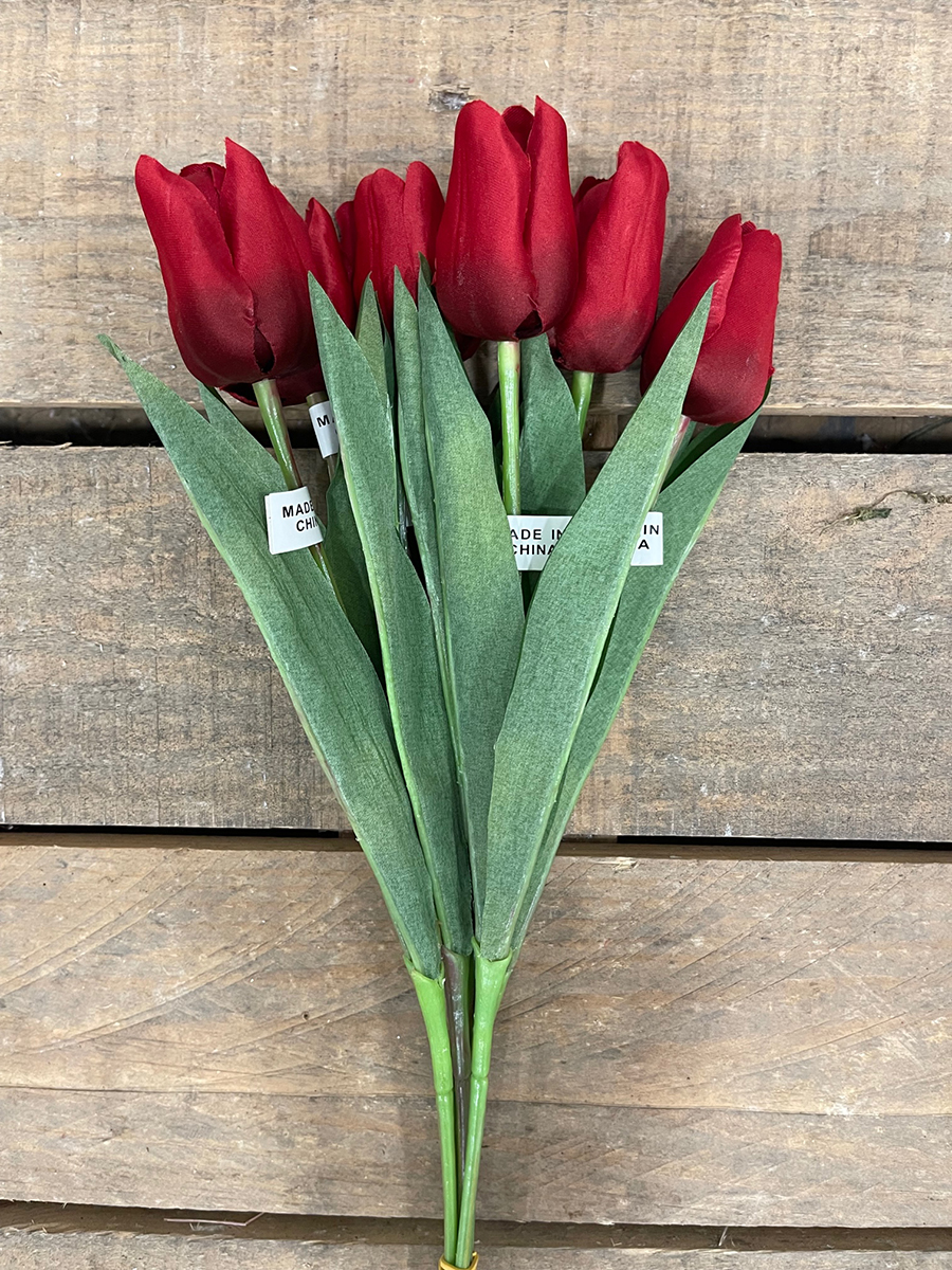 SINGLE SMALL TULIP RED