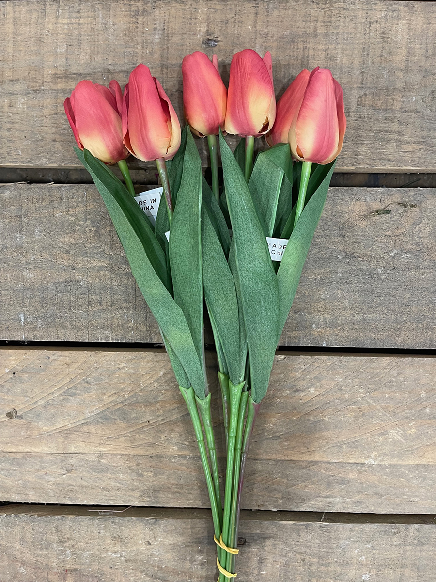 SINGLE SMALL TULIP PINK FLAME