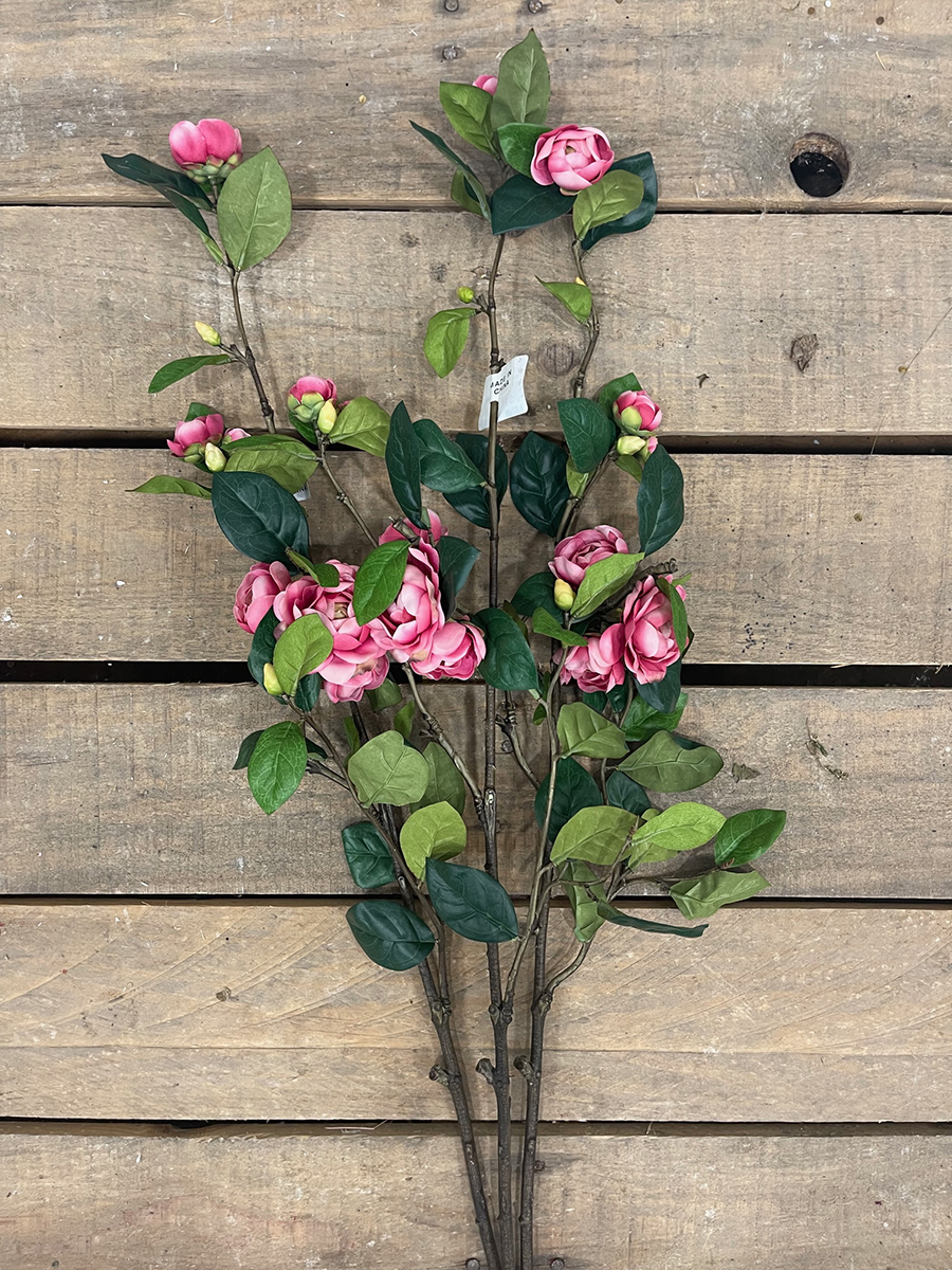 CAMELIA SPRAY BEAUTY