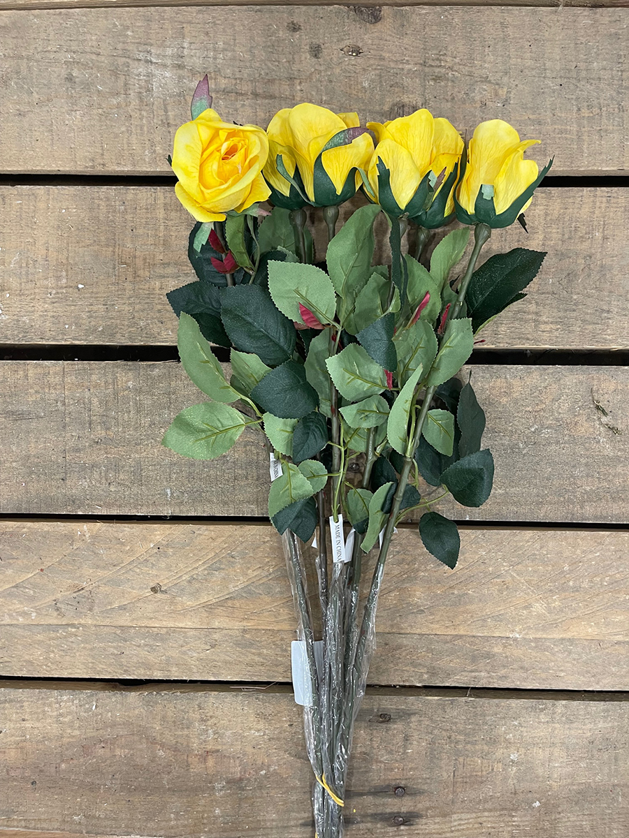 66CM.MATTE SAT.TEA ROSE BUD SP.YELLO