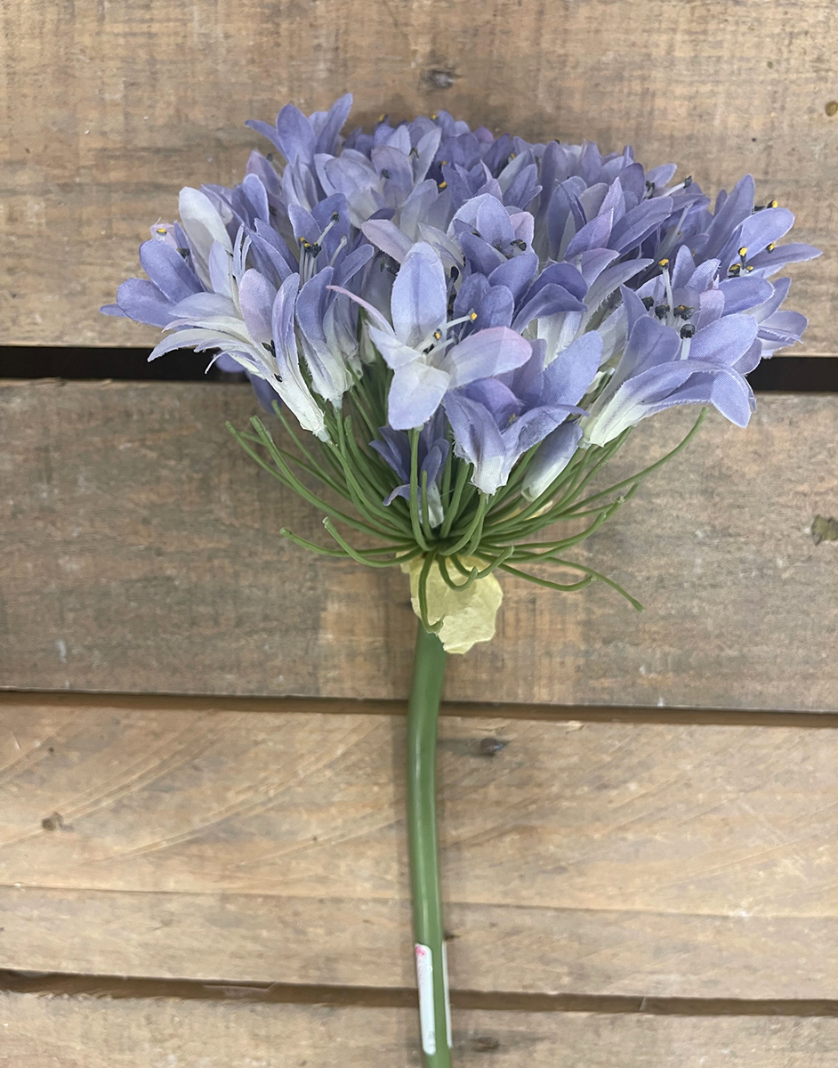AGAPANTHUS 102CM.LAVANDA