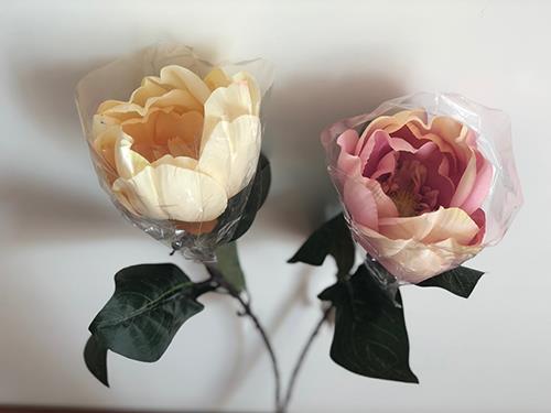 MAGNOLIA W/4LVS 70CM. 4PEZZI CRM+PINK
