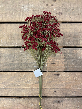 GYPSO SPRAY AUT.ROYAL VEL.65CM. 6PZ. RED