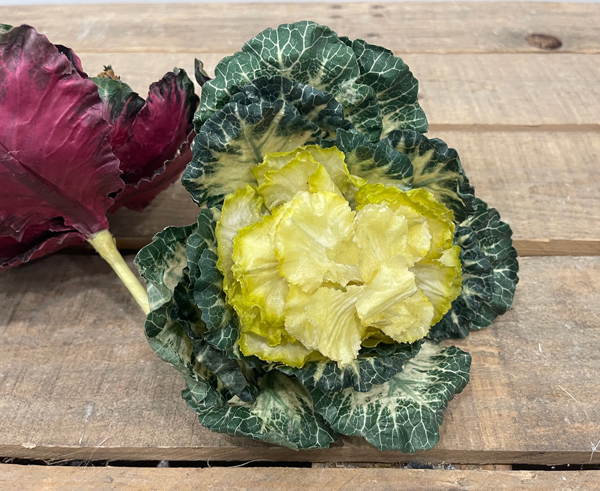 CAVOLO COLORATO GIALLO