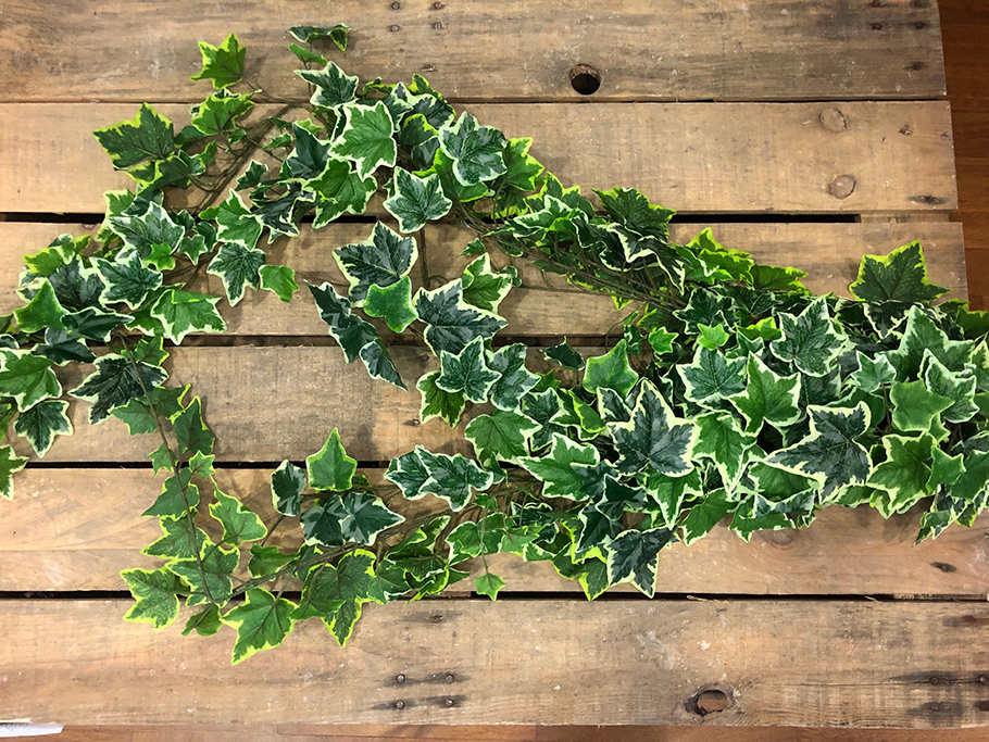 PENDENTE EDERA 370FOGLIE 180CM. VARIEGATO