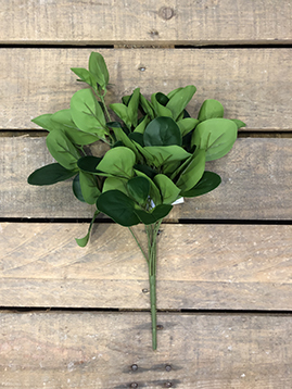 MONEY LEAF BUSH X7 45CM. VERDE