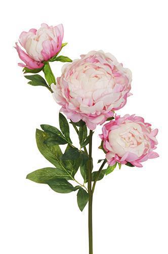 PEONIA BIG OPEN SPRAY 3FLWRS 83CM.PINK