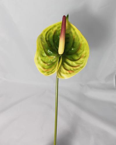 ANTHURIUM SPRAY 70CM. 3PEZZI LT GREEN