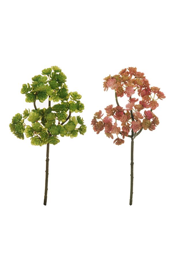 RUBBER MINI ECHEVERIA 2PZ.ASS. MAUVE GREEN