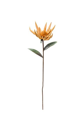 FIORE TROPICALE H81 D16CM. GOLD