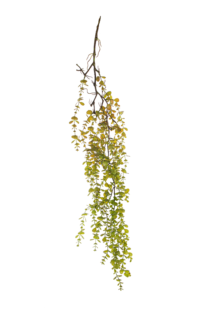 CASCANTE EUCALYPTO L.110CM. VERDE