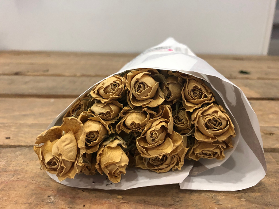 ROSES SPRAY 10PZ. NAT. CREAM