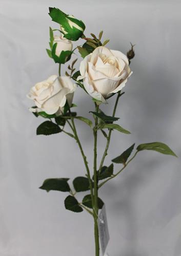GARDEN ROSE 2FIORI 2BOCC.65CM.3PZ. CREMA